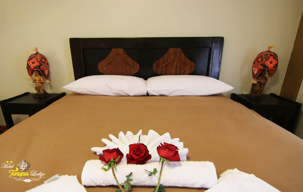 Habitación Superior Simple